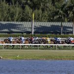 Gulfstream Park - Photo Debbie Roma - Daily Racing Form