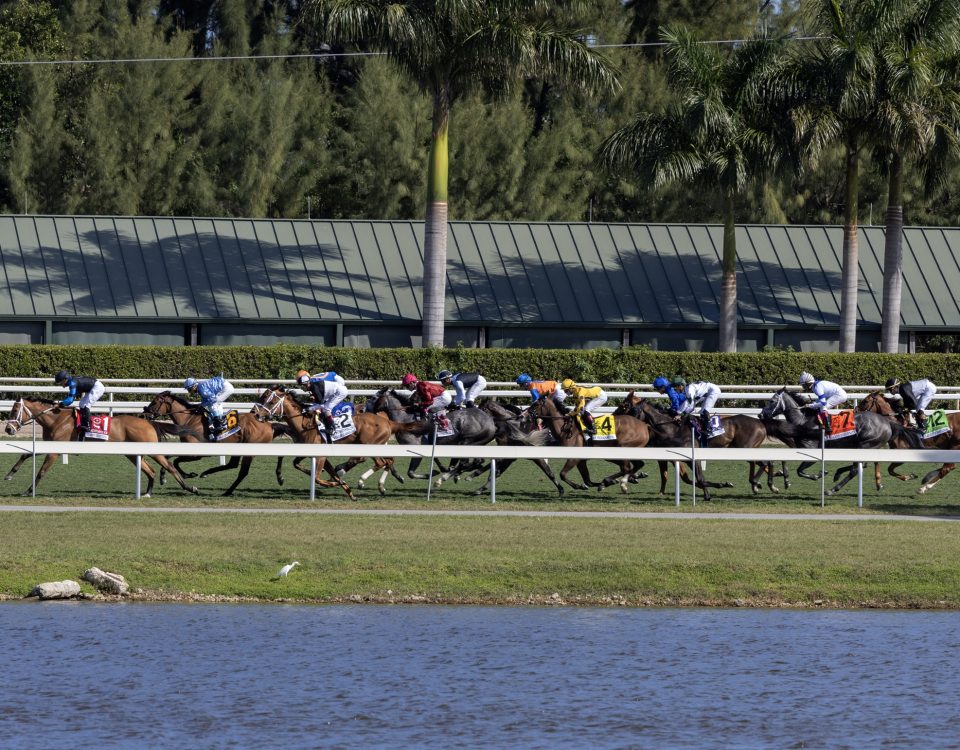 Gulfstream Park - Photo Debbie Roma - Daily Racing Form