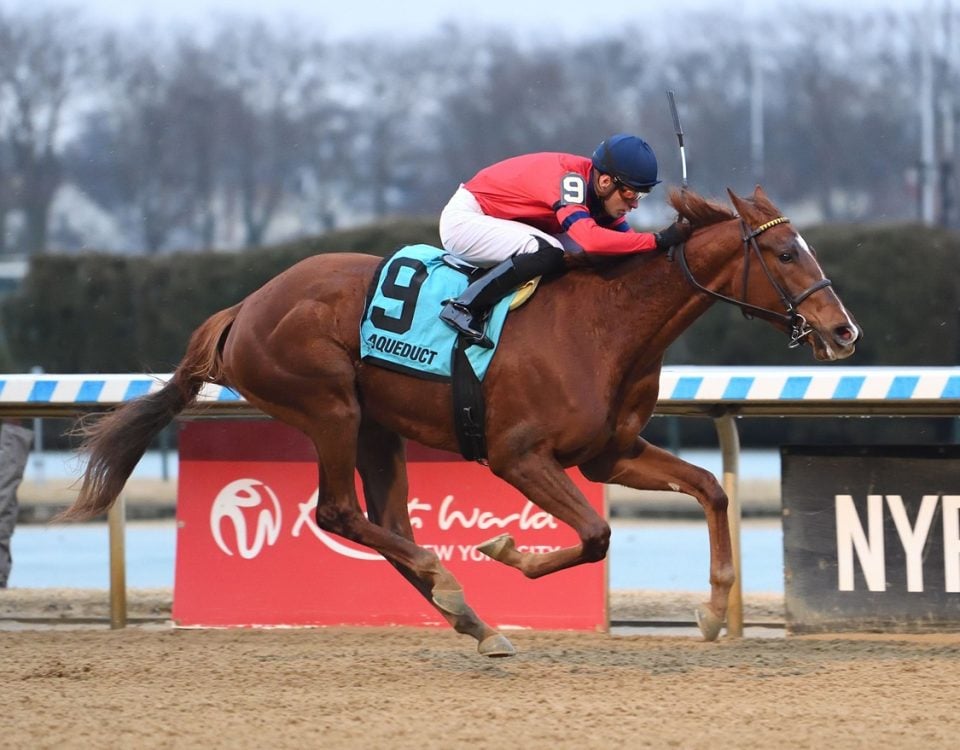 Running Away - Busanda Stakes - Chelsea Durand/Coglianese Photo