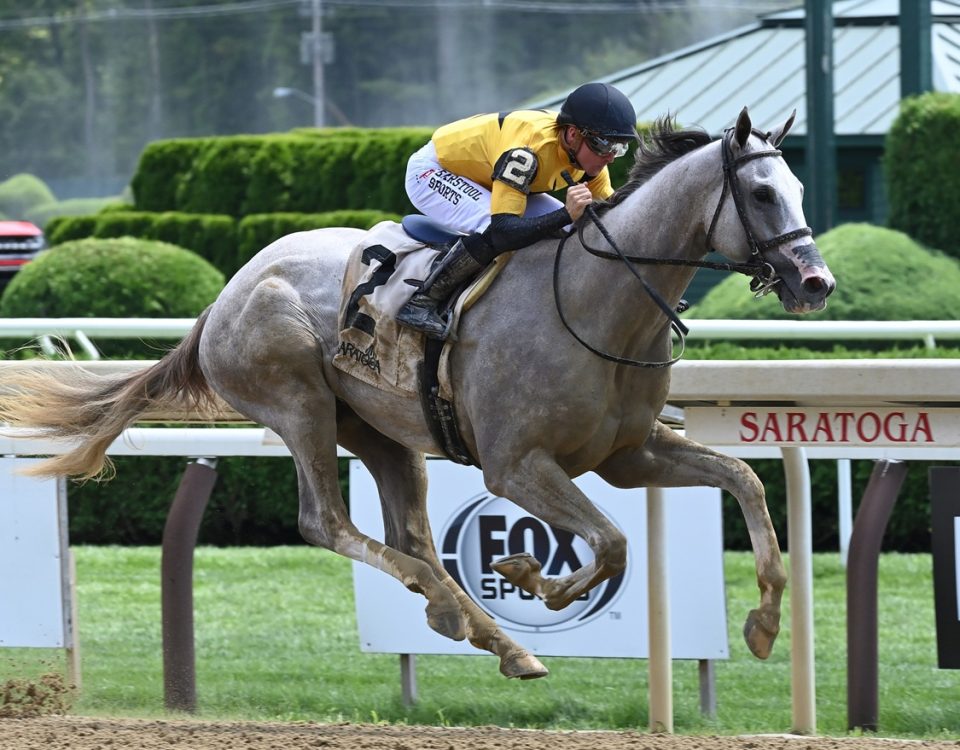 Sandman - Coglianese Photo