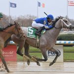 Sharp Smile - Coglianese Photo