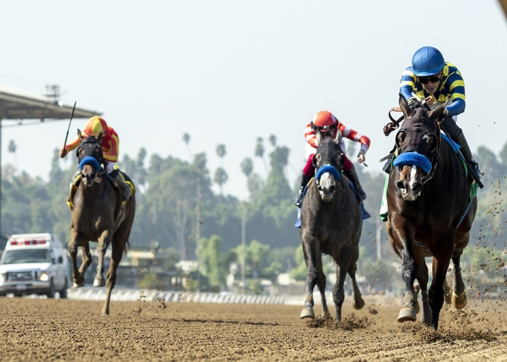 Silent Law - Anoakia Stakes - Benoit Photo