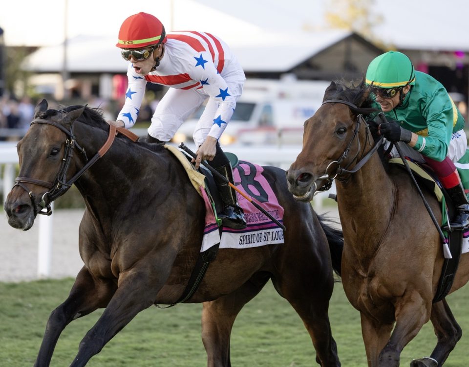 Spirit of St Louis - Pegasus World Cup Turf Invitational G1 - DRF Debra A. Roma