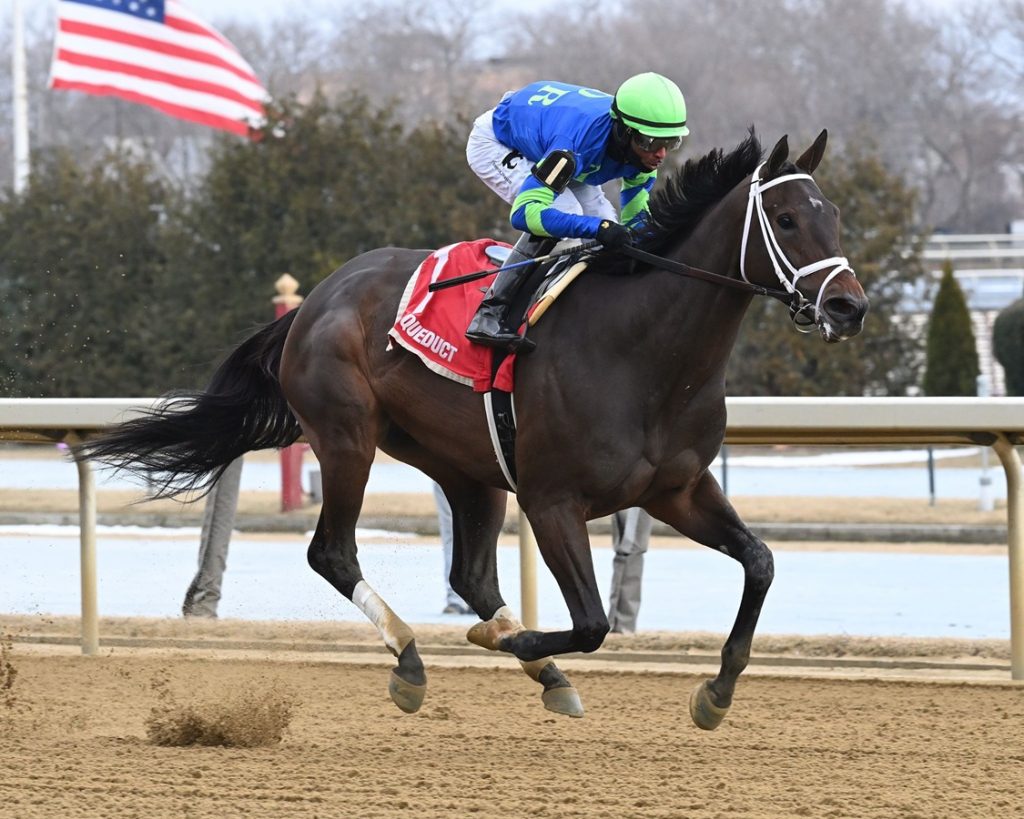 Tizzy in the Sky - Ladies Stakes - Coglianese Photo