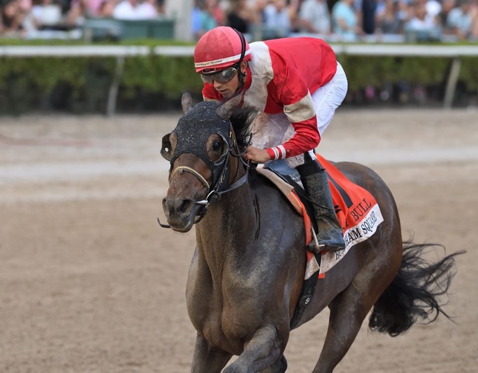 Burnham Square - Holy Bull Stakes G3 - Ryan Thompson/Coglianese Photo