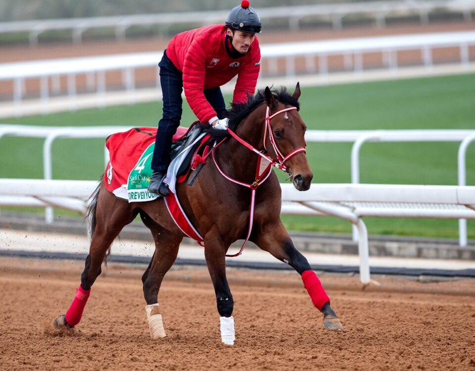 Forever Young - Jockey Club Saudi Arabia/Ali AlZenaidi