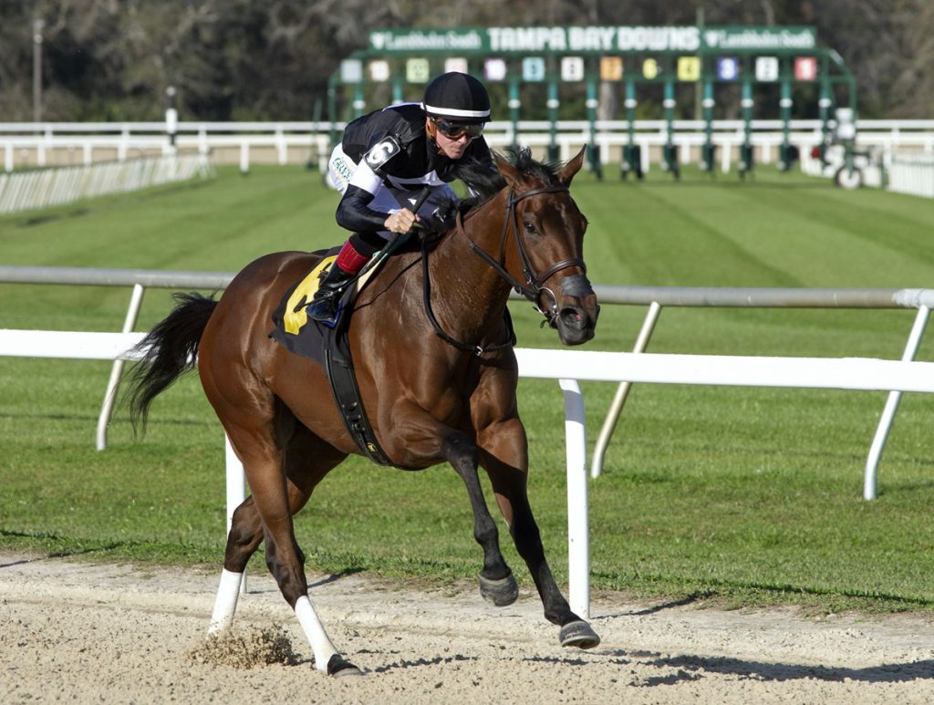 La Cara - Suncoast Stakes - Tom Keyser - Daily Racing Form