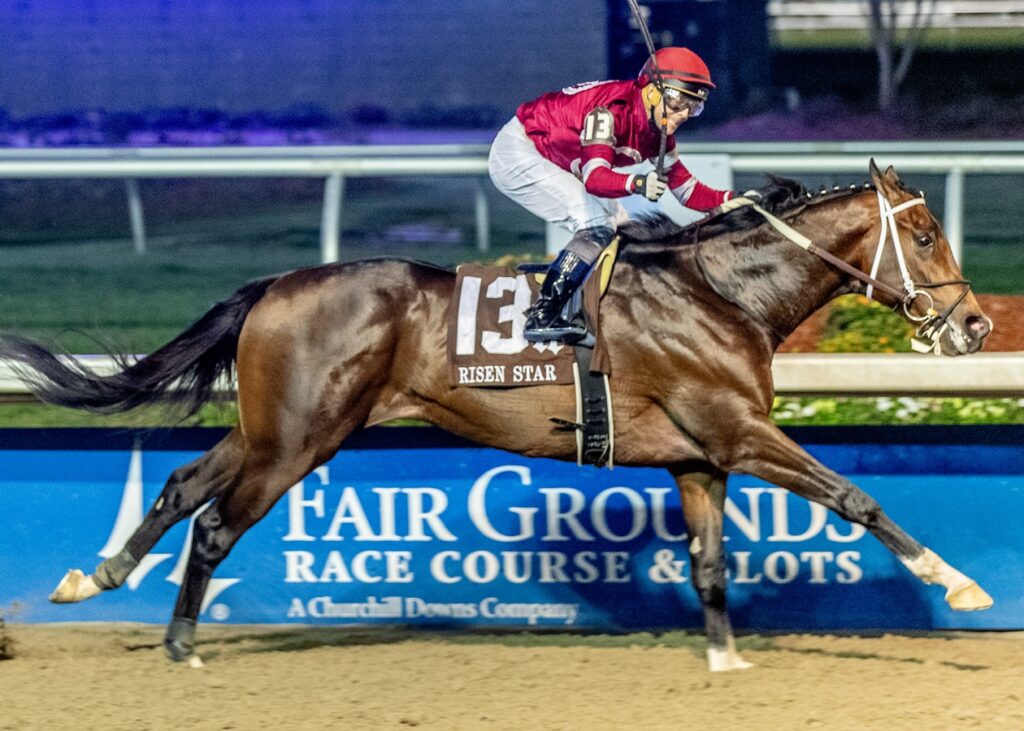 Magnitude - Risen Star G2 - Hodges Photography/Lou Hodges Jr.