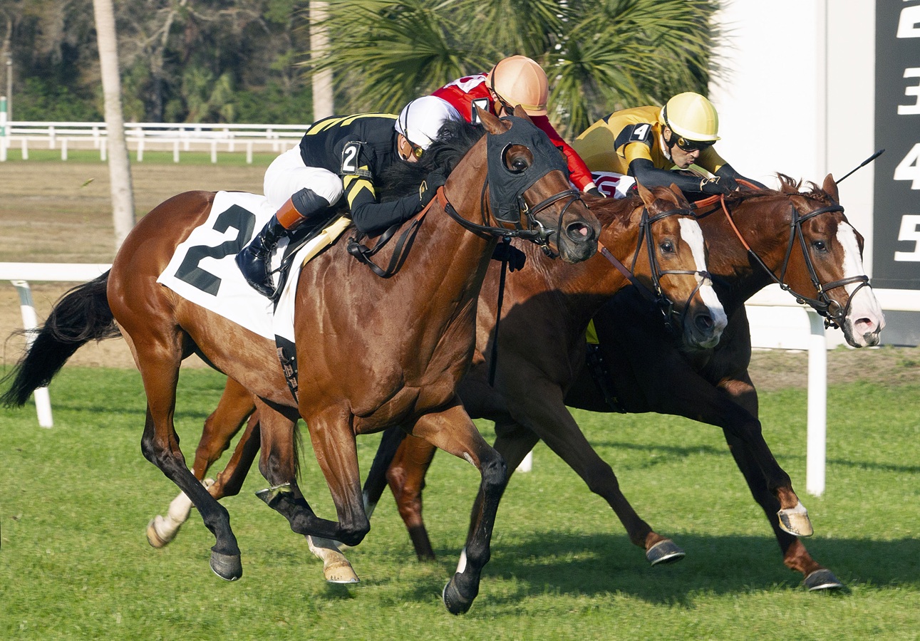 Las apuestas siguen en caída. Conoce los números de la semana pasada ...