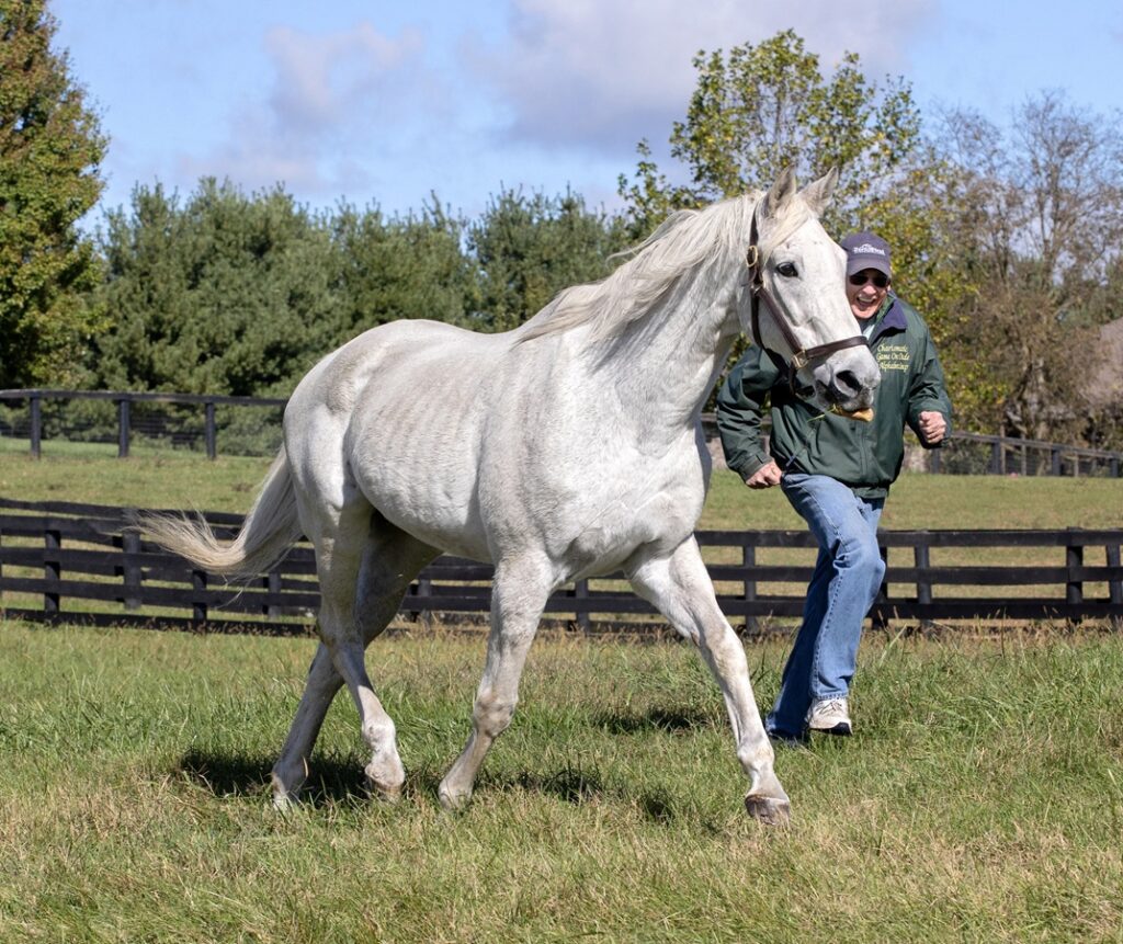 Silver Charm & Michael Blowen - Barbara D. Livingston - Daily Racing Form