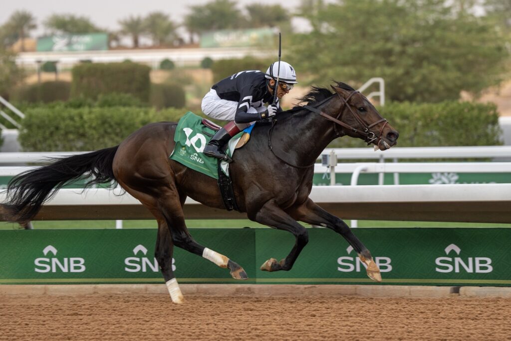 Straight No Chaser - Riyadh Dirt Sprint - Mathea Kelley-JCSA