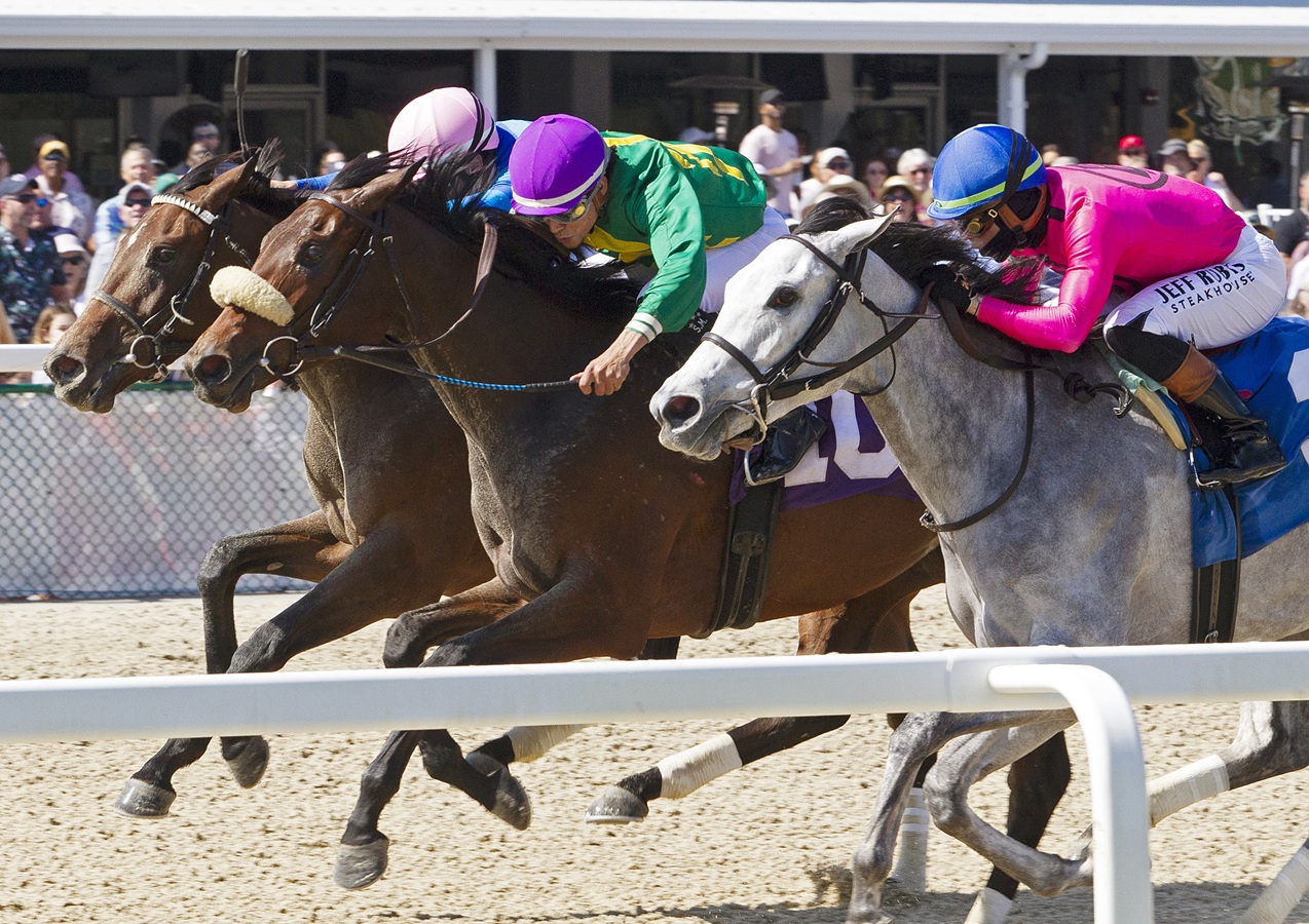 Actividad en la taquilla de la semana pasada en Estados Unidos | DRF en ...