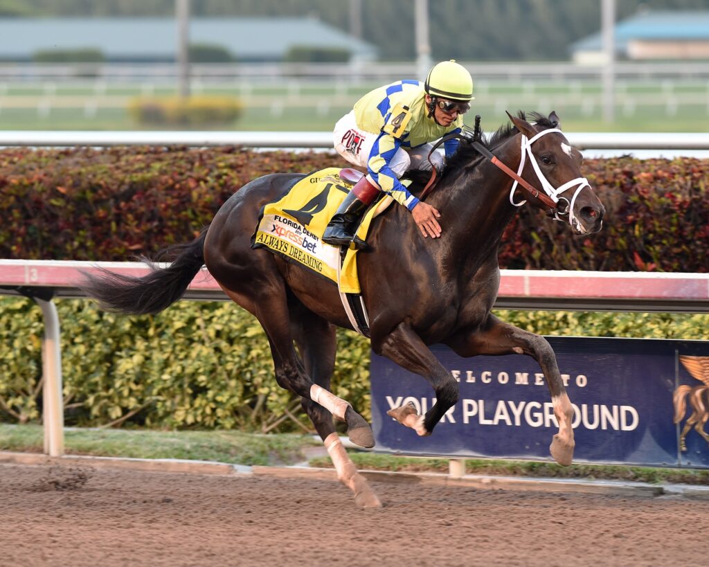 Always Dreaming - Florida Derby 2017 - Coglianese Photo