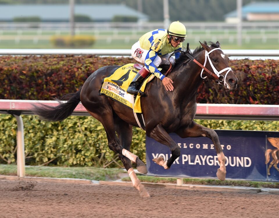 Always Dreaming - Florida Derby 2017 - Coglianese Photo