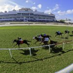 Biz Biz Buzz - Turf - Ryan Thompson/Coglianese Photo
