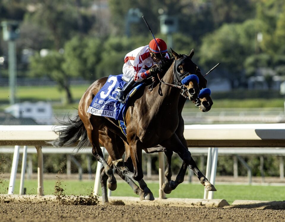 Cavalieri - Beholder Mile G1 - Benoit Photo