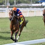 Cloe - Melody of Colors Stakes - Angelo Lieto - Coglianese Photo