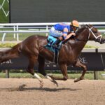 Disruptor - Coglianese Photo