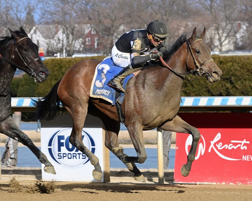 Drexel Hill - Busher Stakes - Chelsea Durand/Coglianese Photo