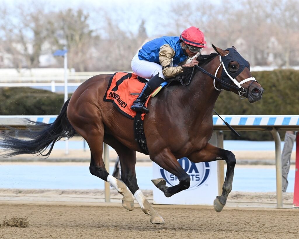 Flood Zone - Gotham Stakes G3 - Chelsea Durand/Coglianese Photo