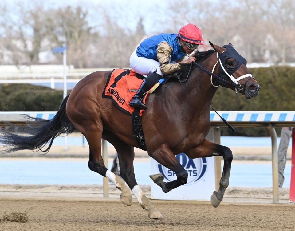 Flood Zone - Gotham Stakes G3 - Chelsea Durand/Coglianese Photo