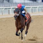 Flood the Zone - Gotham G3 - Coglianese Photo