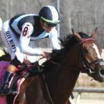 Fondly - Virginia Oaks - Coady Media