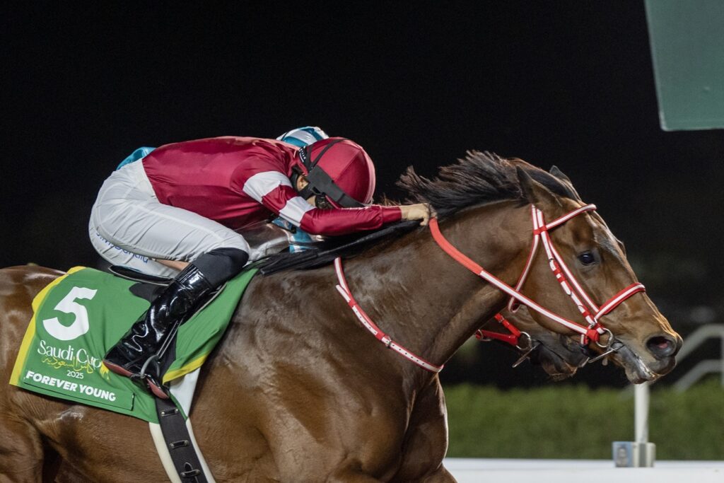 Forever Young - Saudi Cup - Jockey Club of Saudi Arabia/Mathea Kelley