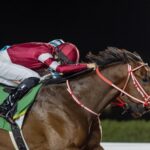 Forever Young - Saudi Cup - Jockey Club of Saudi Arabia/Mathea Kelley