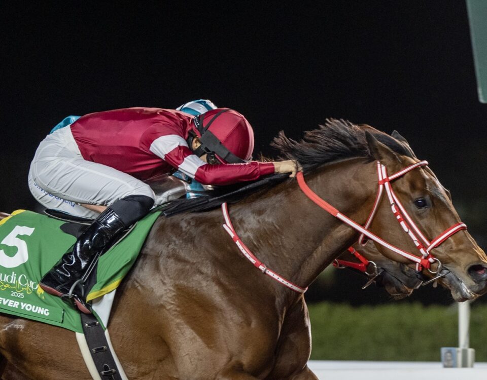 Forever Young - Saudi Cup - Jockey Club of Saudi Arabia/Mathea Kelley