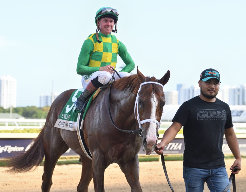 Gate To Wire - Foto Ryan Thompson - Coglianese Photo