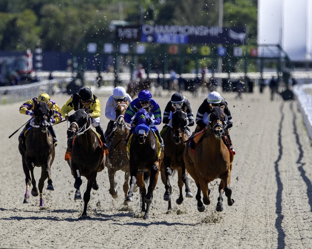 Gulfstream Tapeta Scenic - Ryan Thompson/Coglianese Photos 