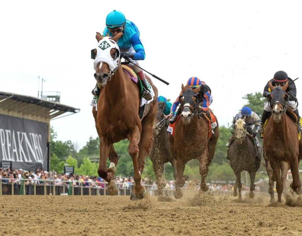 Gun Song - Foto: Barbara D. Livingston - Daily Racing Form