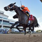 Guns Loaded - Ryan Thompson-Coglianese Photo