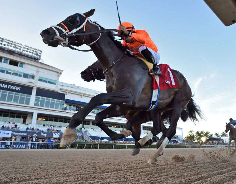 Guns Loaded - Ryan Thompson-Coglianese Photo