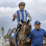 Liberal Lady - Jose Ortiz - Barbara D. Livingston - Daily Racing Form