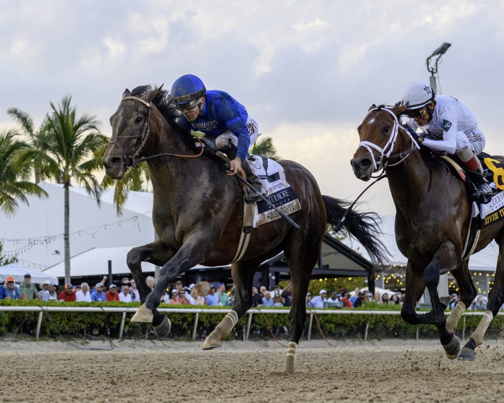 Sovereignty - Fountain of Youth Stakes G2 - Coglianese Photo