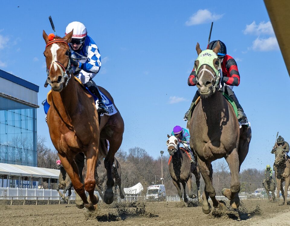 Stickwiththecolors - Conniver Stakes - Jerry Dzierwinsky