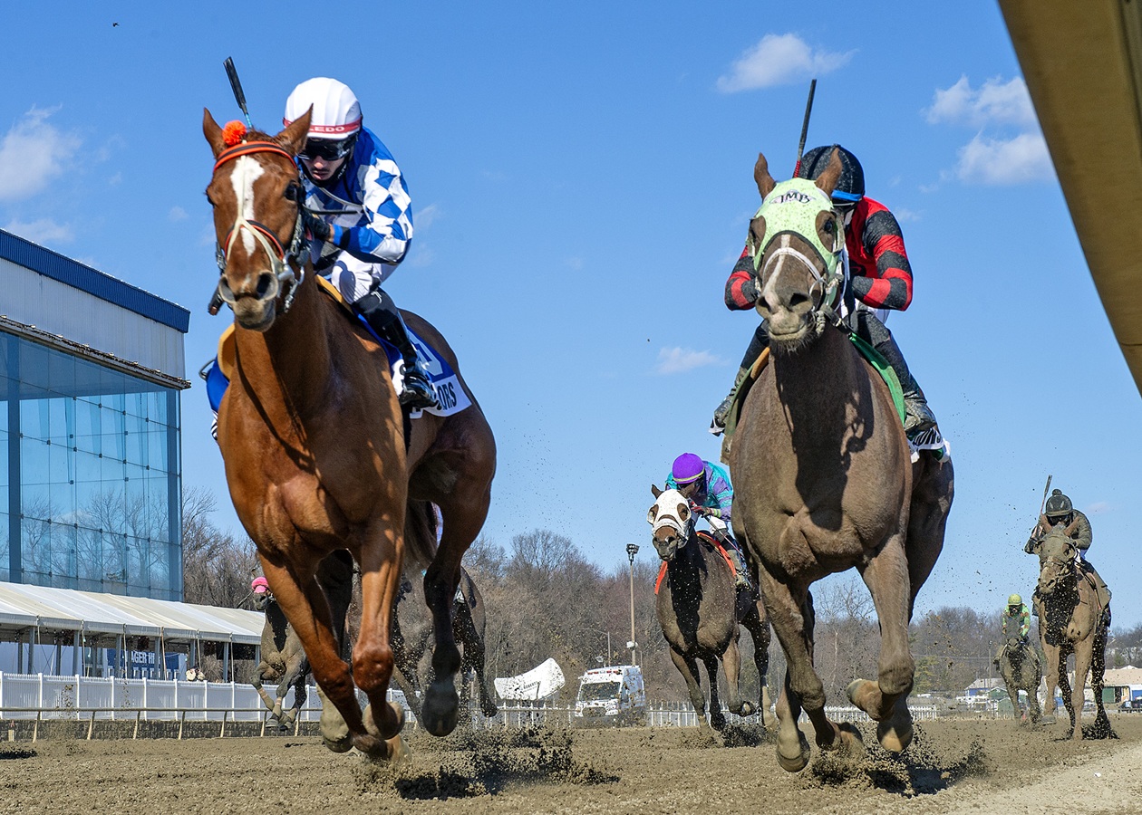 Stickwiththecolors y Circle P sorprendieron en los Stakes de Laurel ...