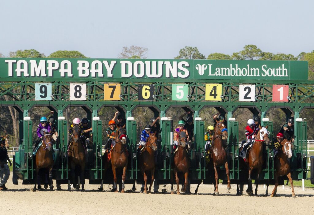 Tampa Bay Downs - Foto Tome Keyser - Daily Racing Form