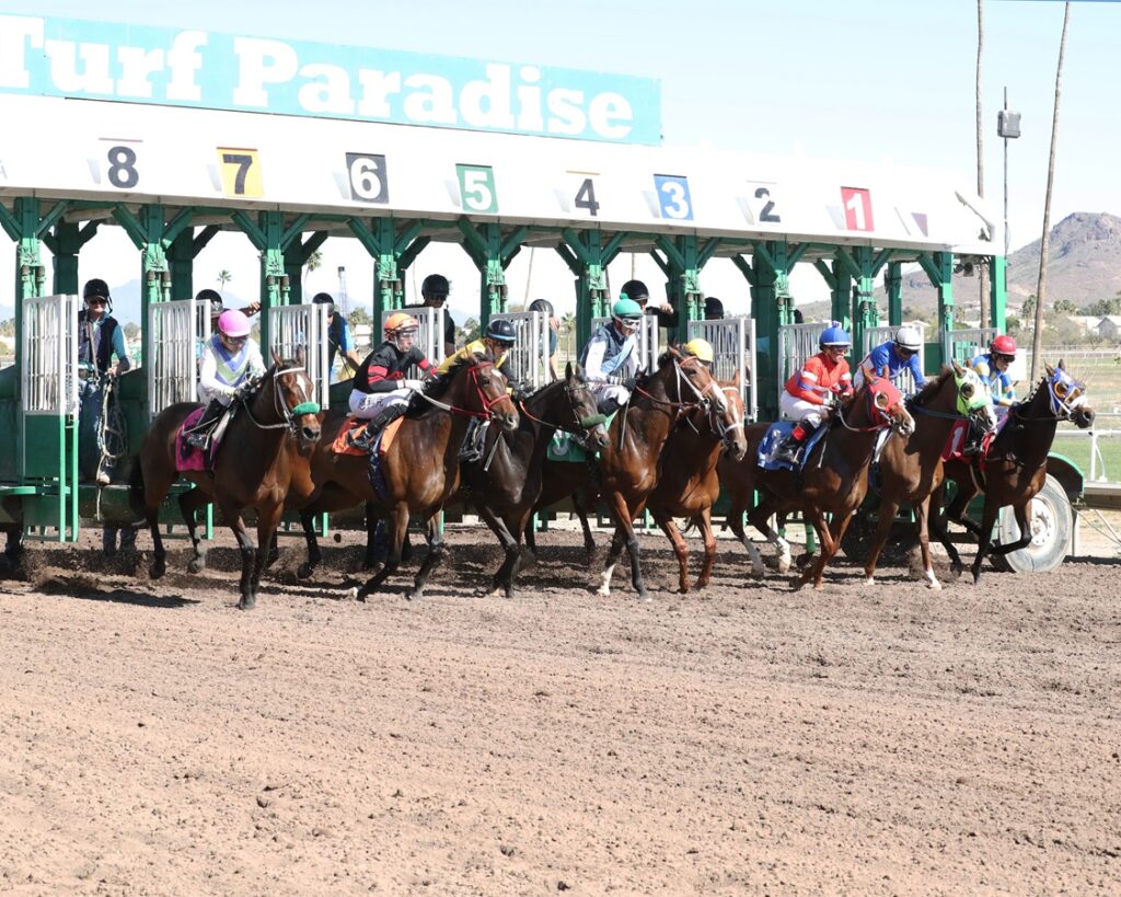 Turf Paradise start - Coady Media