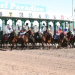 Turf Paradise start - Coady Media