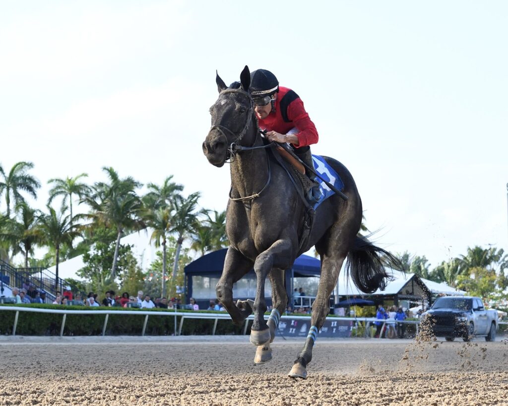 Unchained Elaine - Any Limit Stakes - Lauren King/Coglianese Photo