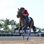 Unchained Elaine - Any Limit Stakes - Lauren King/Coglianese Photo