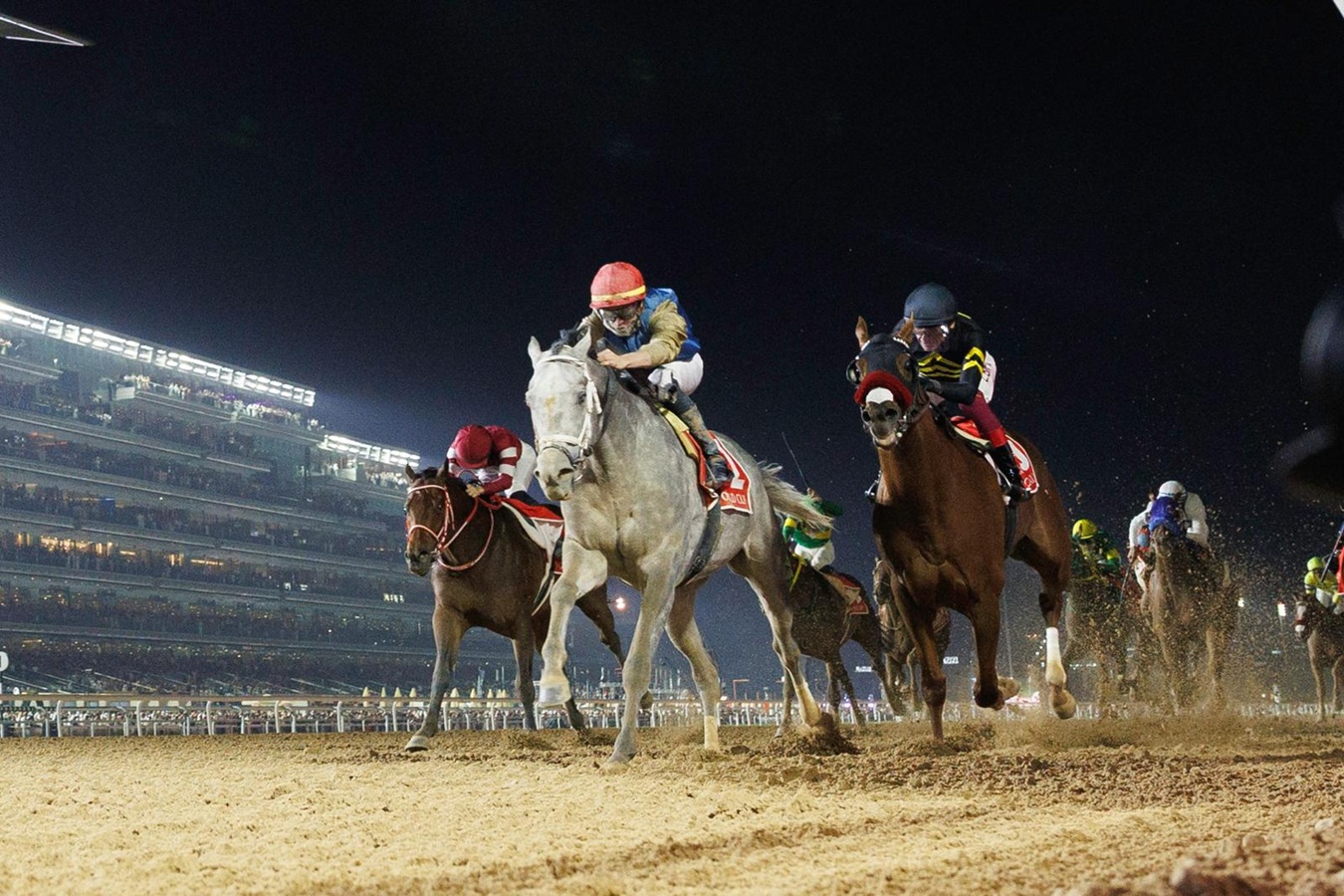 Formidable Hit Show Wins Dubai World Cup