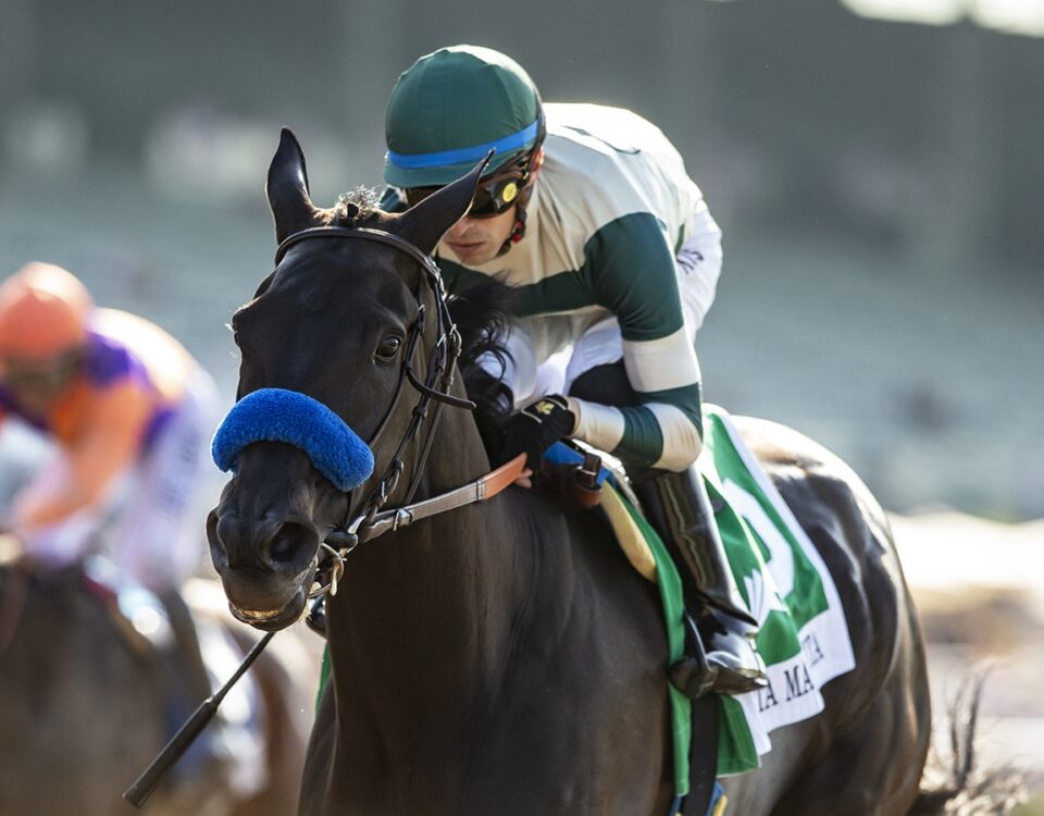 Adare Manor - Winner Santa Margarita Stakes 2024 - Benoit Photo