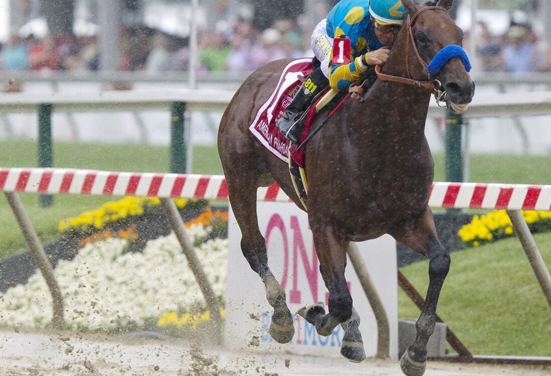 American Pharoah - Preakness Stakes - Barbara D. Livingston - Daily Racing Form