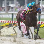 American Pharoah - Preakness Stakes - Barbara D. Livingston - Daily Racing Form