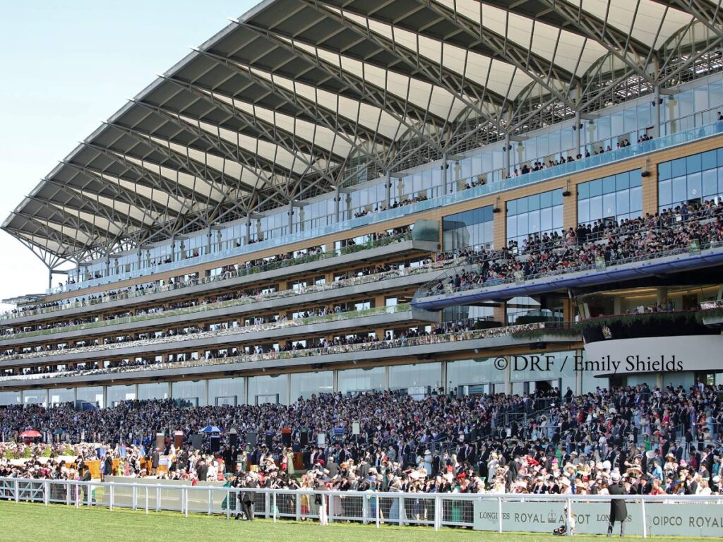 Ascot - ©DRF/Emily Shields