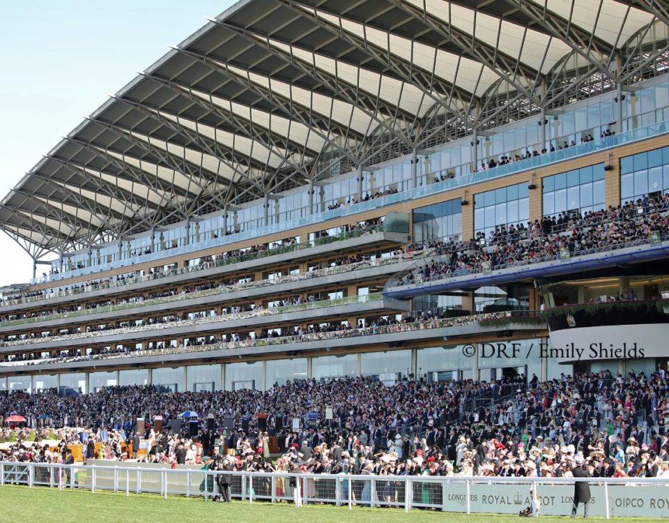 Ascot - ©DRF/Emily Shields